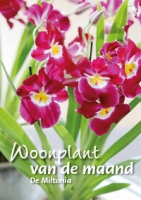 Woonplant van de maand mei: De Miltonia