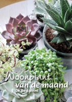 Woonplant van de maand juni: De Succulent