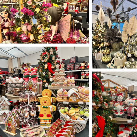 Kerstplanten | De Carlton
