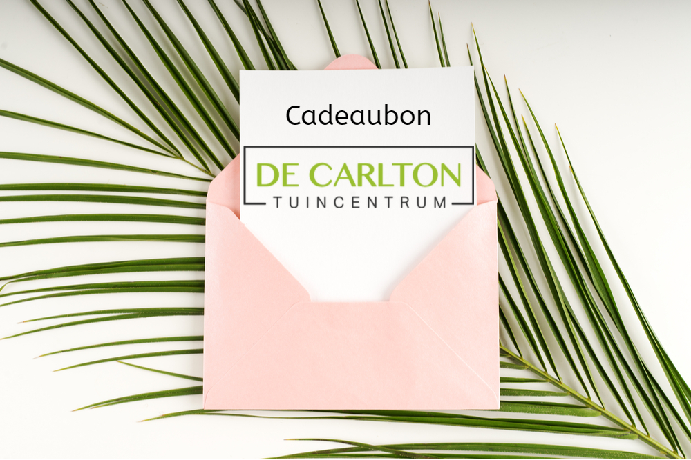 Tuin- Cadeaubonnen - De Carlton | Tuincentrum Westland