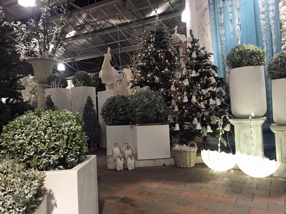 Kerstboom kopen op onze kerstmarkt dichtbij Den Haag?