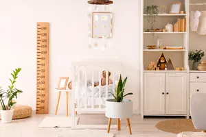 De leukste kamerplanten voor op de kinderkamer