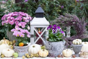 Fleurige herfstdecoraties voor terras en balkon