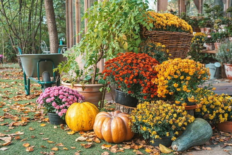 Geef je tuin terug aan de natuur (en waarom dat goed is)