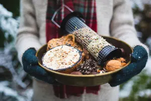 Huis- en tuindiertips tijdens koude winterdagen 