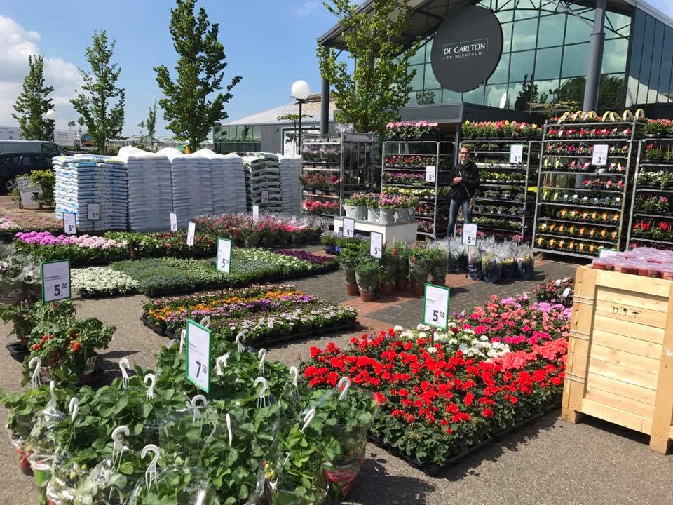 Geurloos herder boeren Tuincentrum Den Haag - De Carlton | Tuincentrum Westland